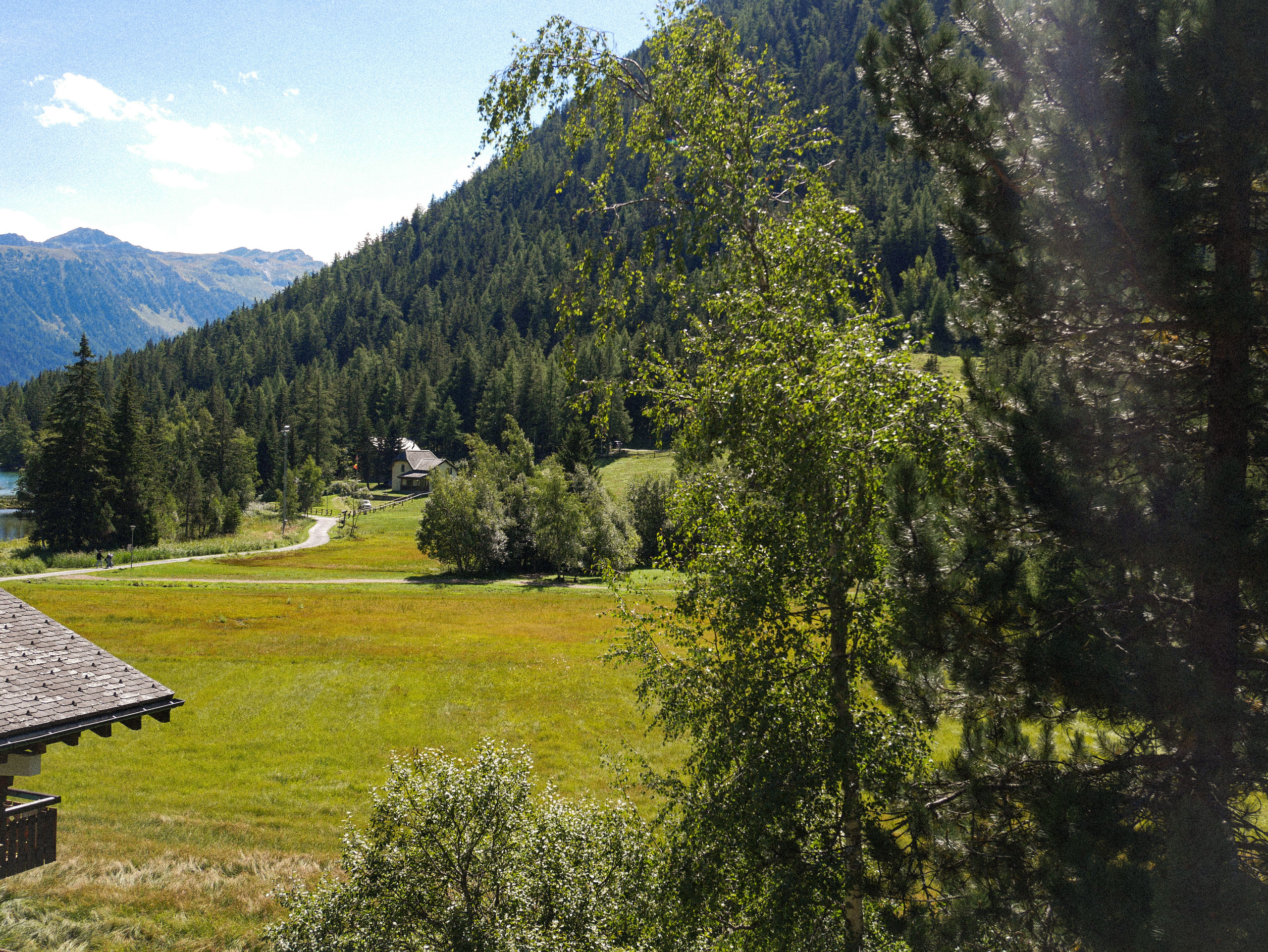 Vue sur les marais