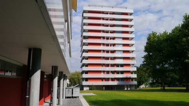 Immagine di copertina