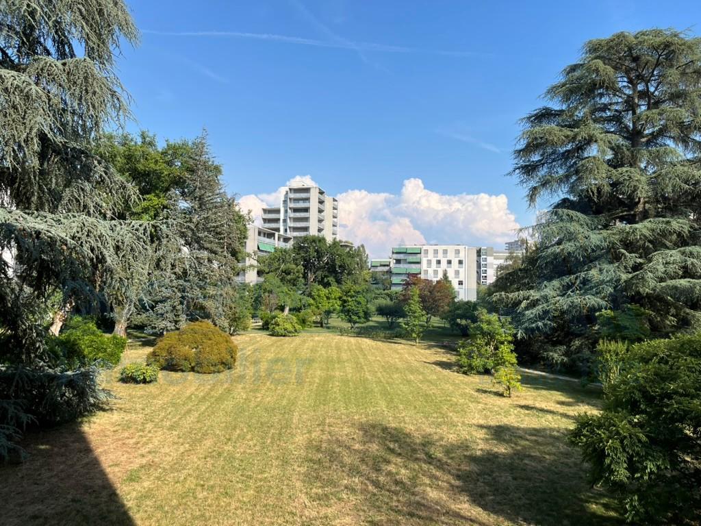 Foto 23