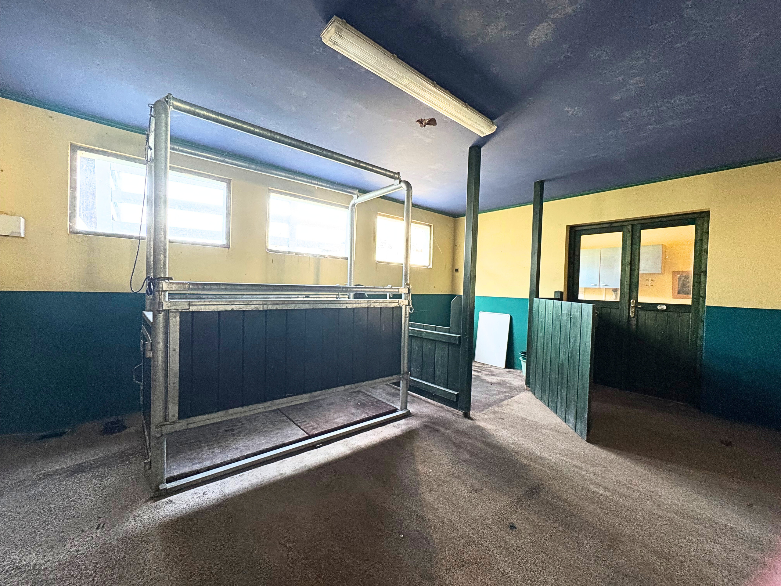 Box pour la Jument et le Poulain 