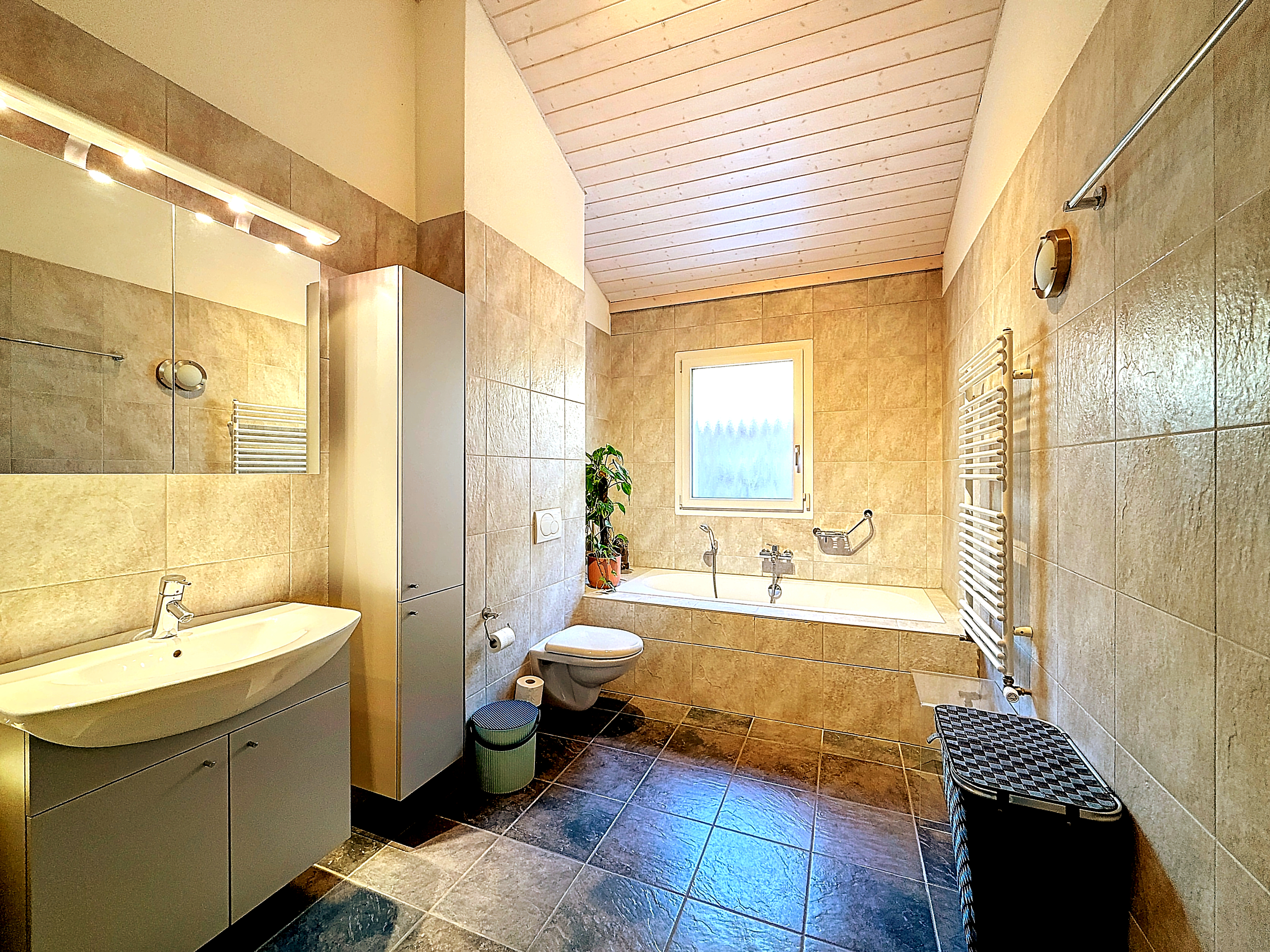 Interior view 10
