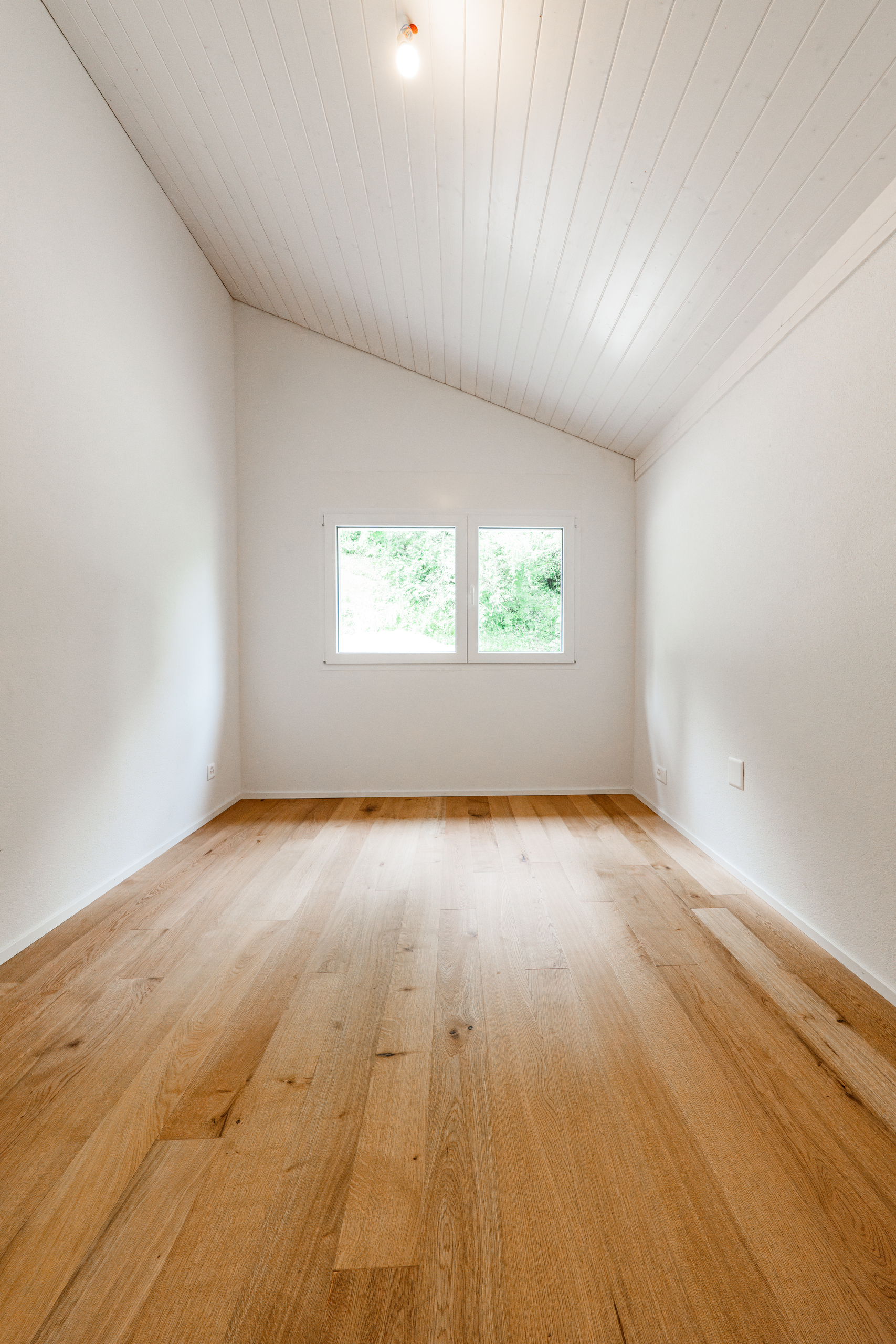 Interior view 7