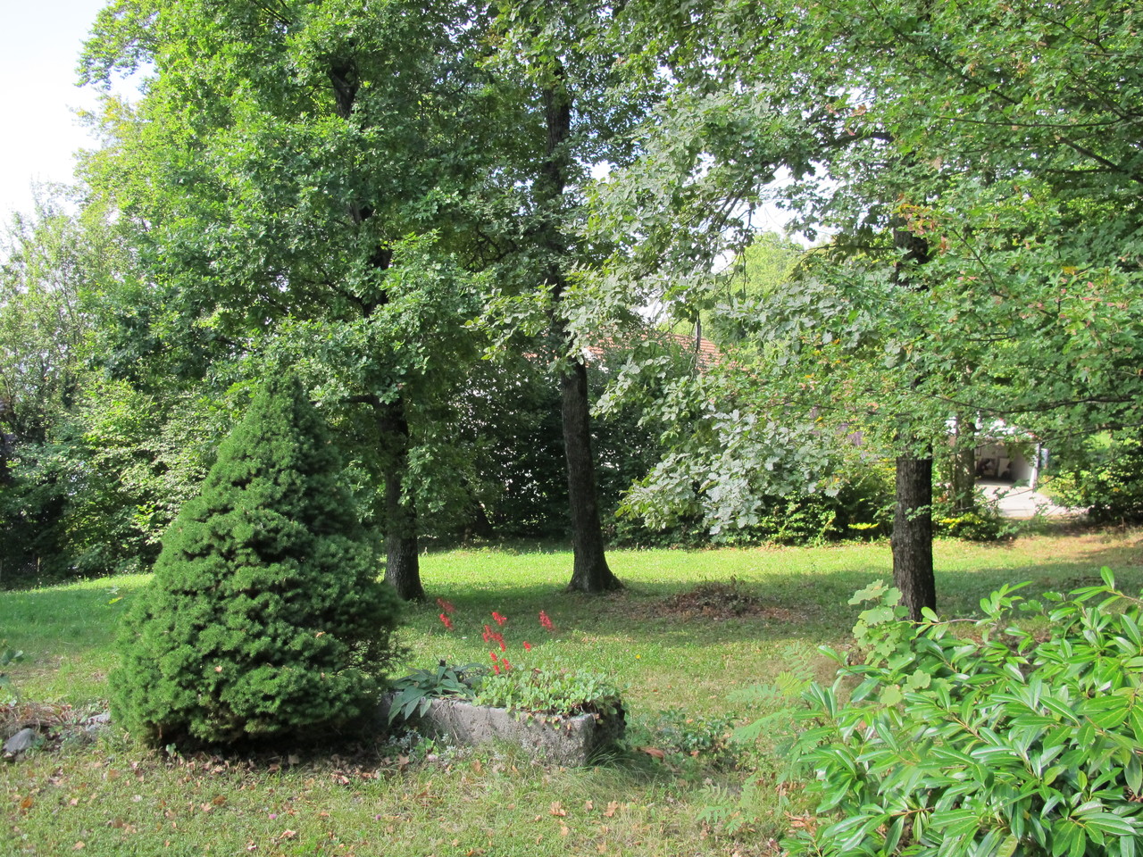 Jardin Jardin