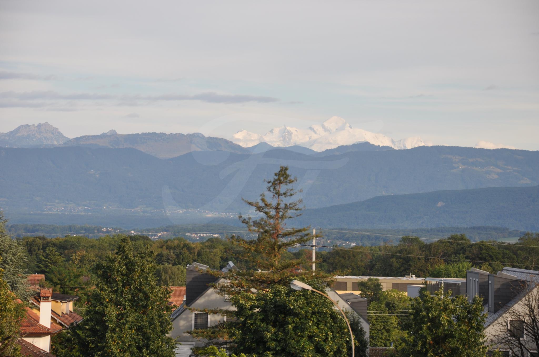 Premier coup d'oeil 2