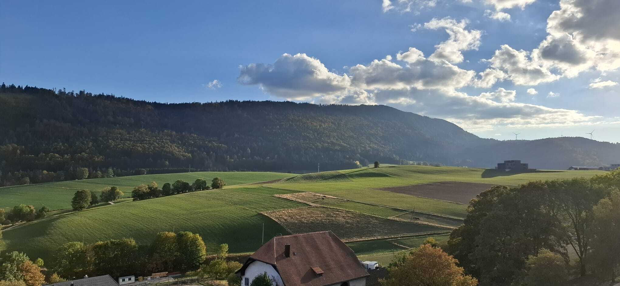 Aussenansicht 1