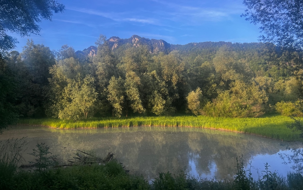 Lac Morlon à quelques minutes 
