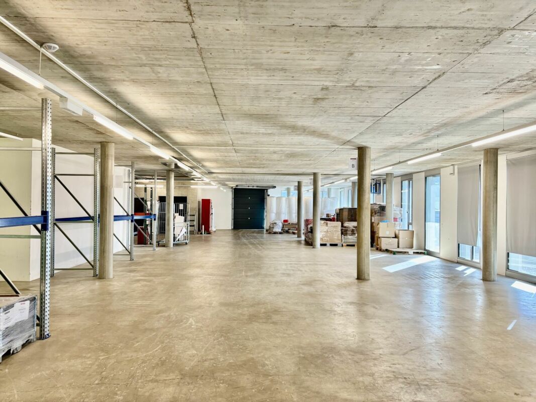 Foto 6