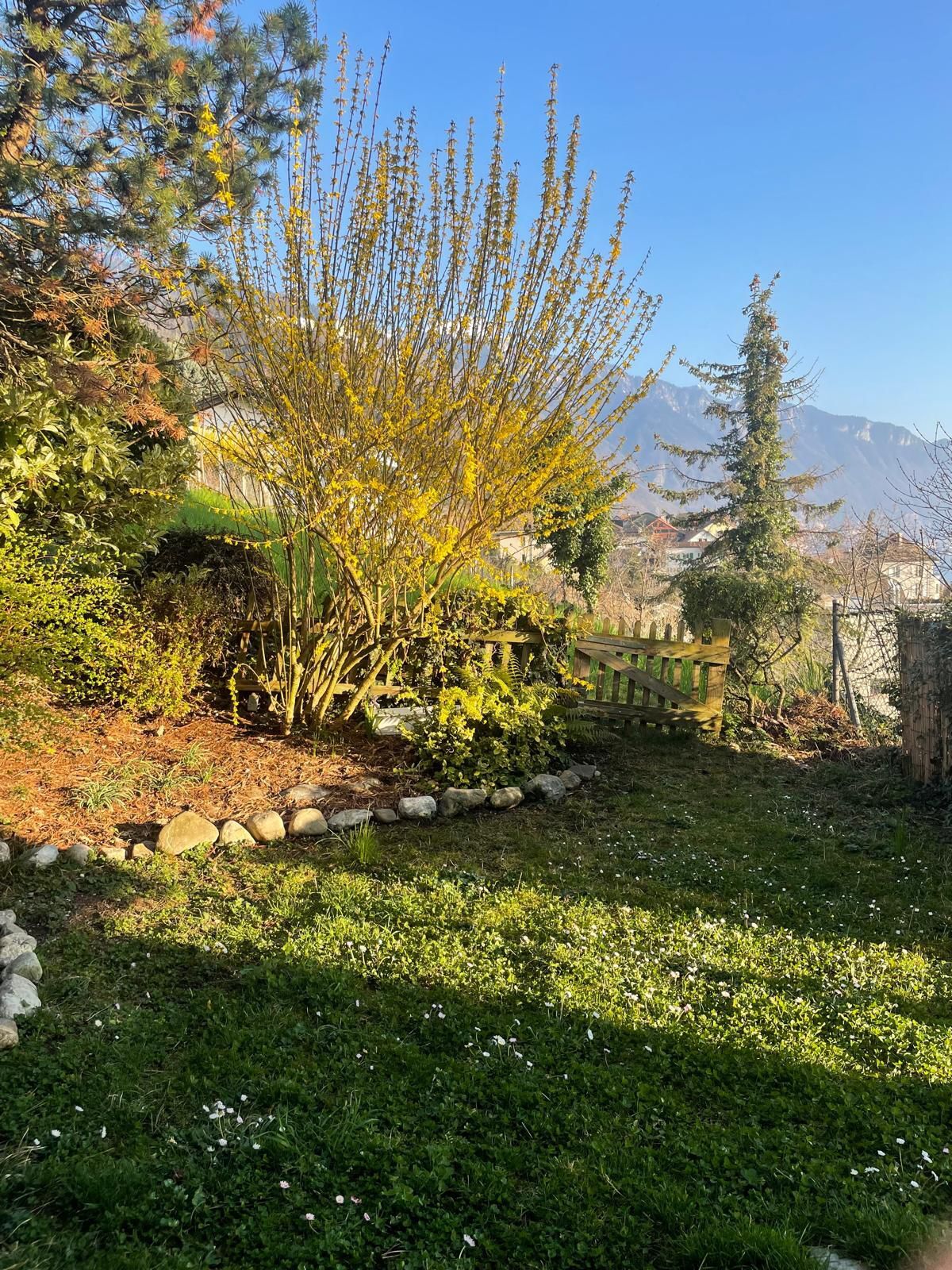 Premier coup d'oeil 1