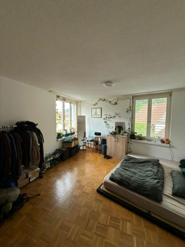 Picture 5