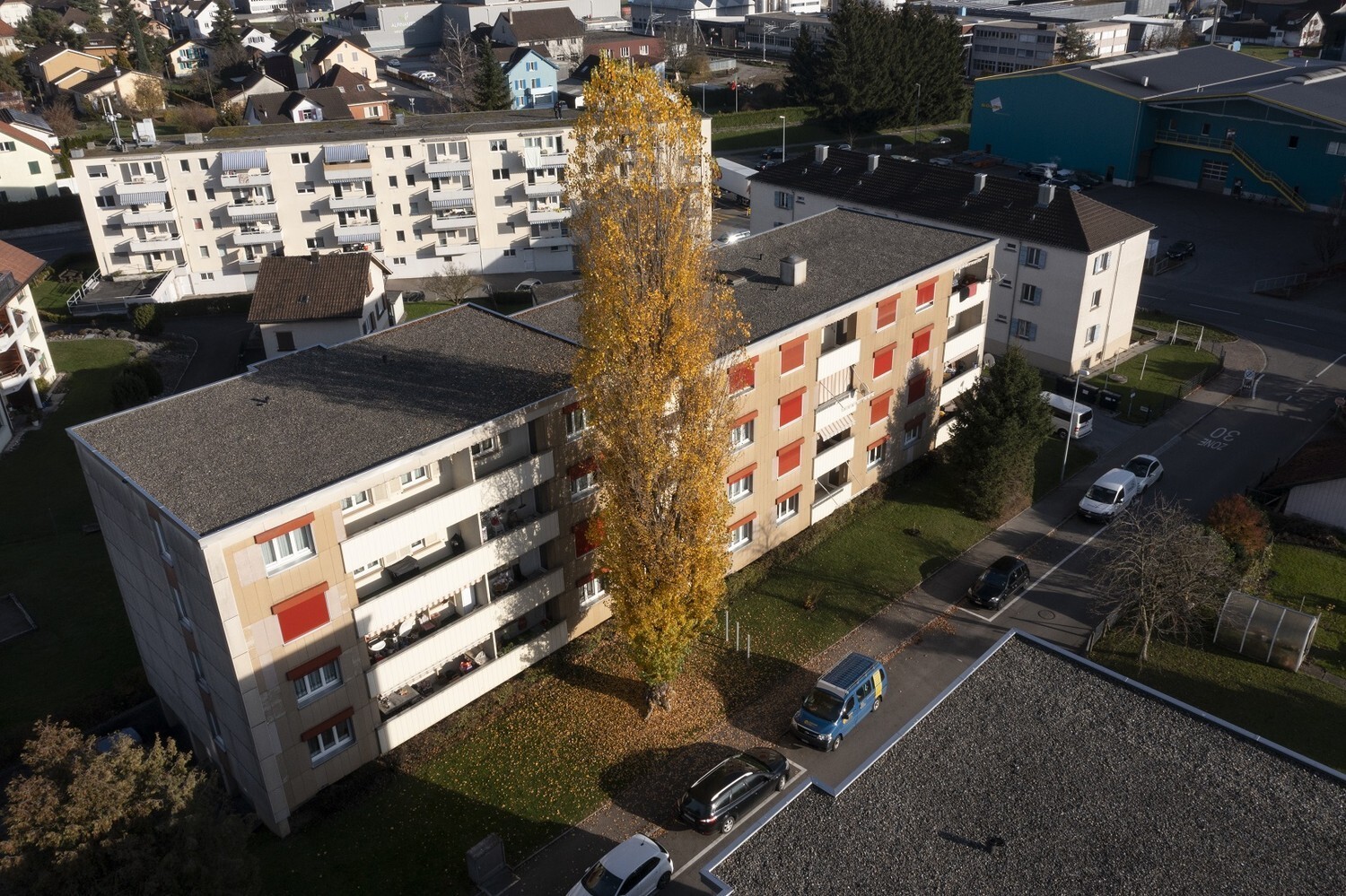 Photo 11