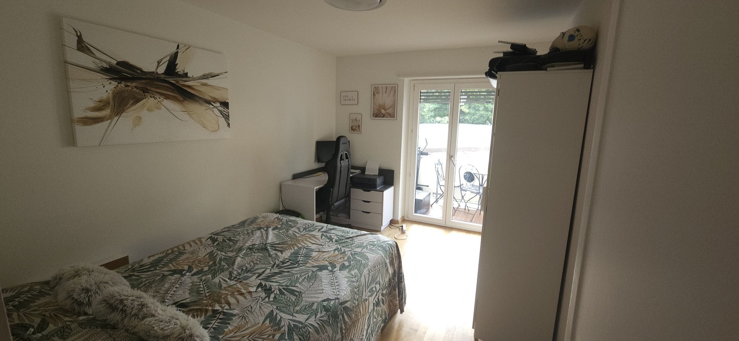 Picture 5