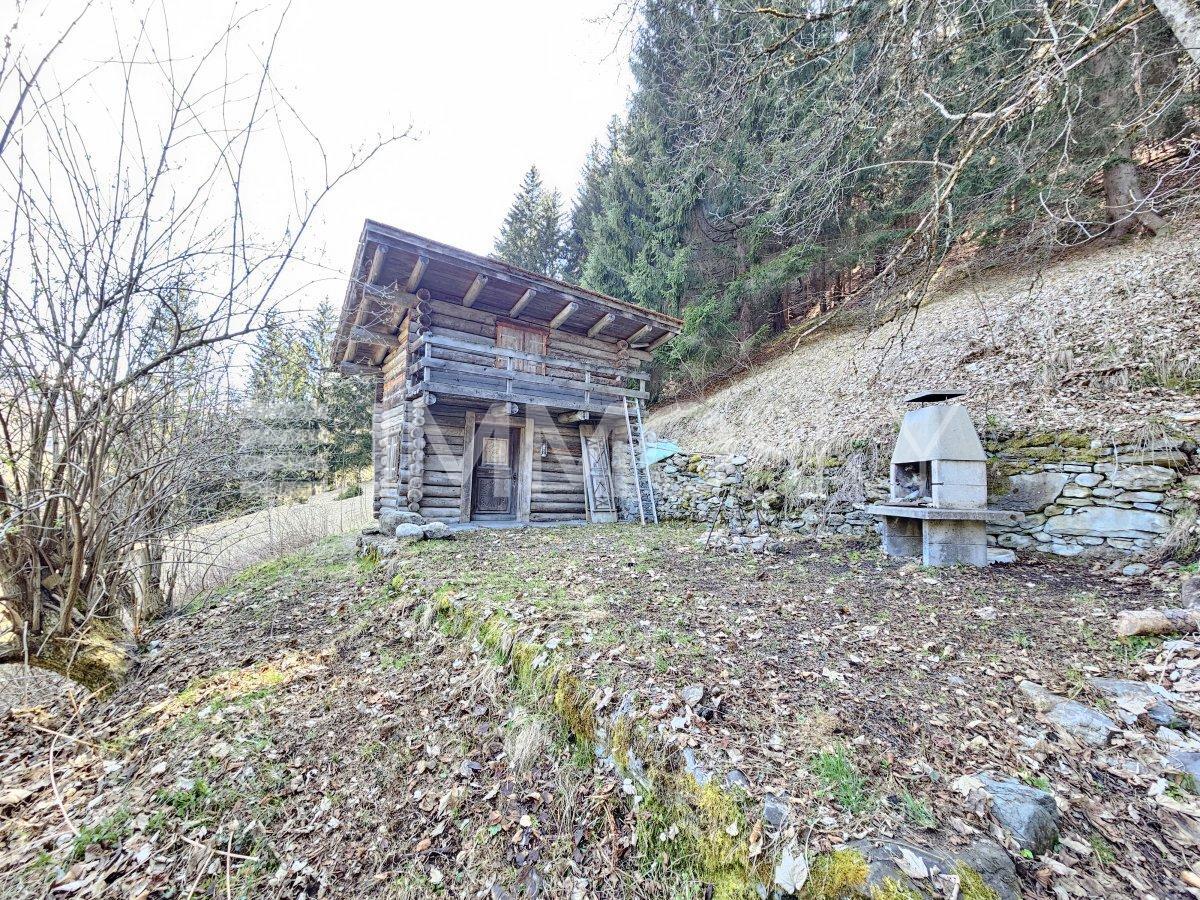 Foto 3