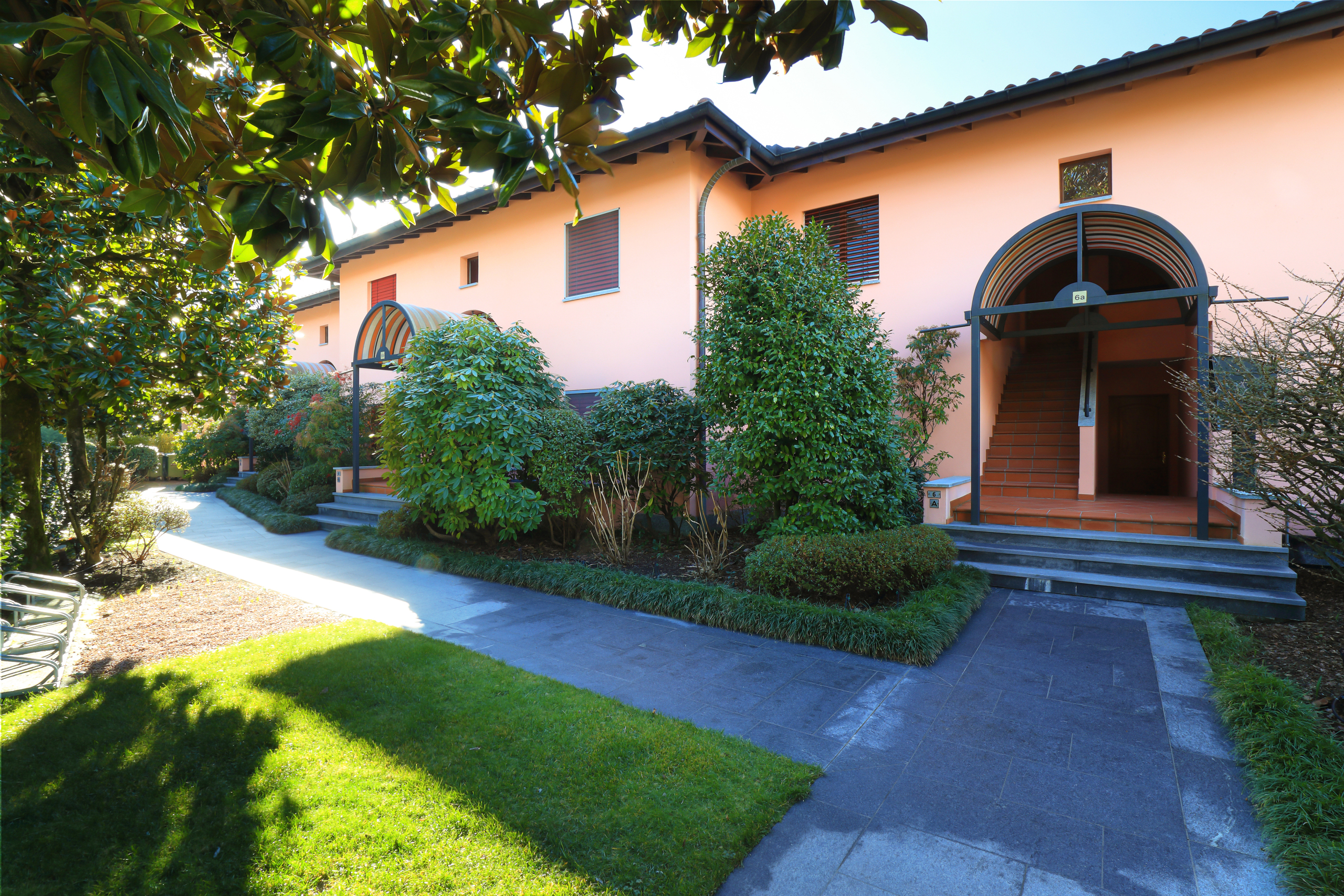 Immagine di copertina