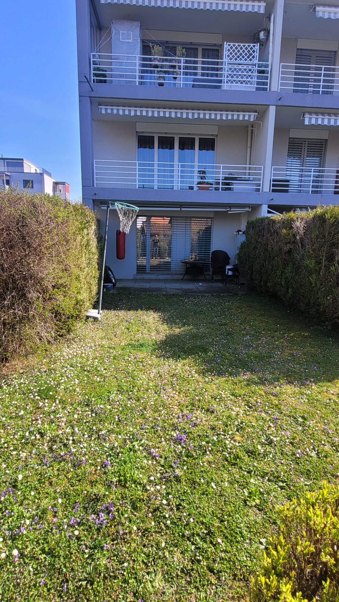 Foto 7