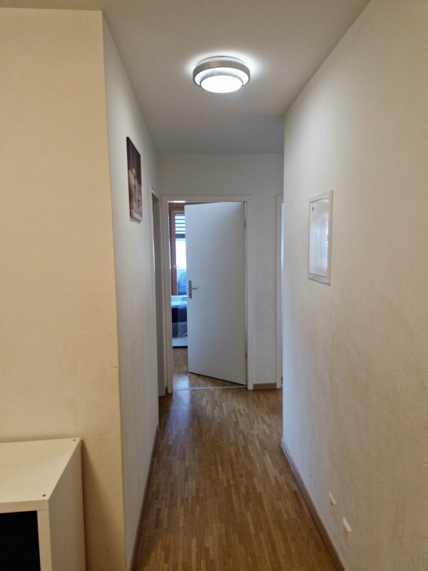 Picture 3