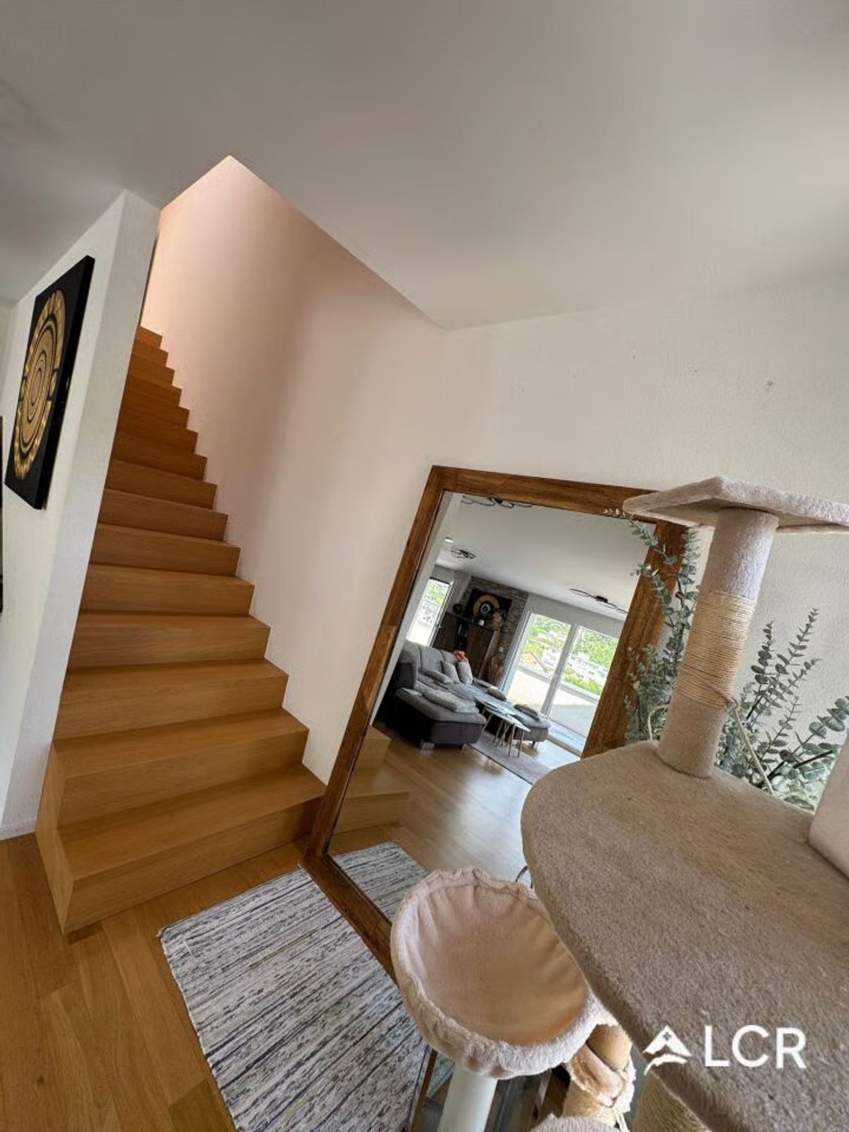 Picture 8