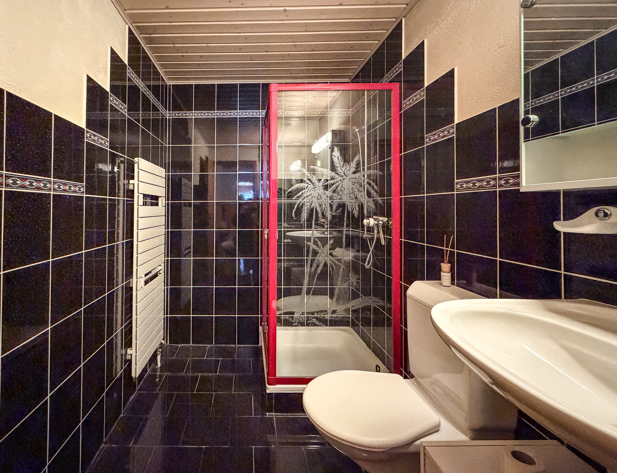 Rez supérieur duplex - Salle de douche