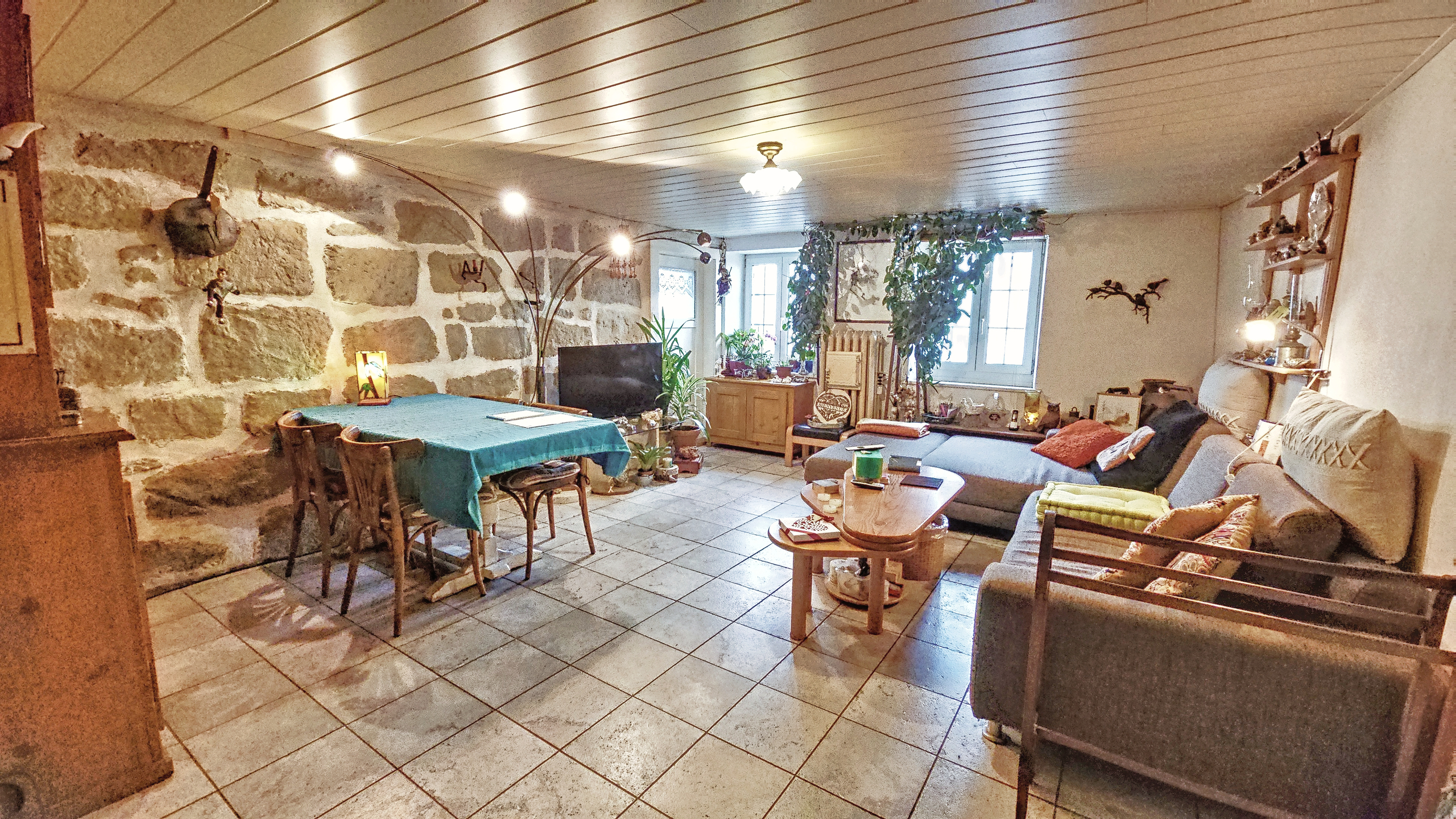 Séjour / salle à manger Séjour / salle à manger