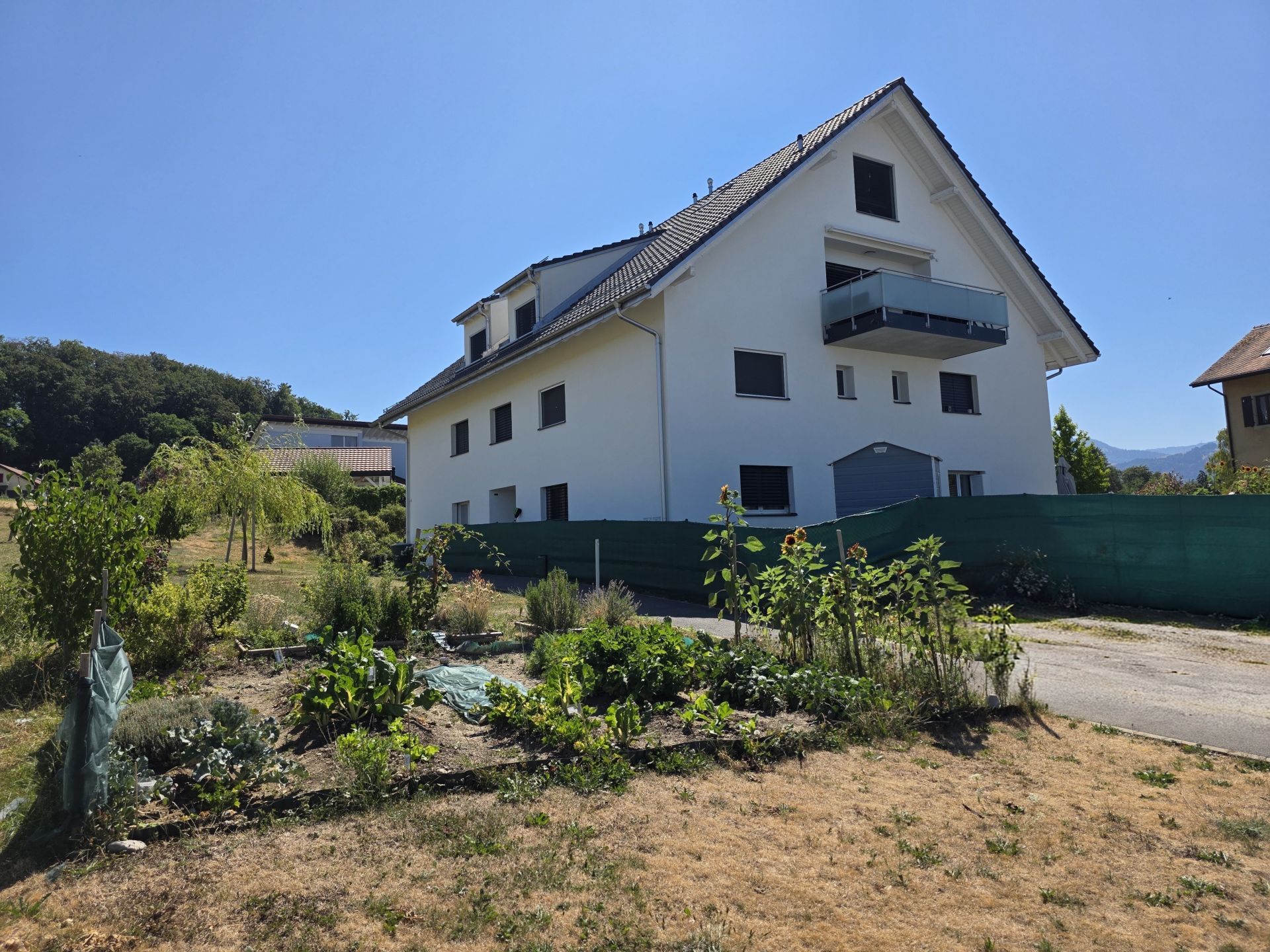 Foto 11