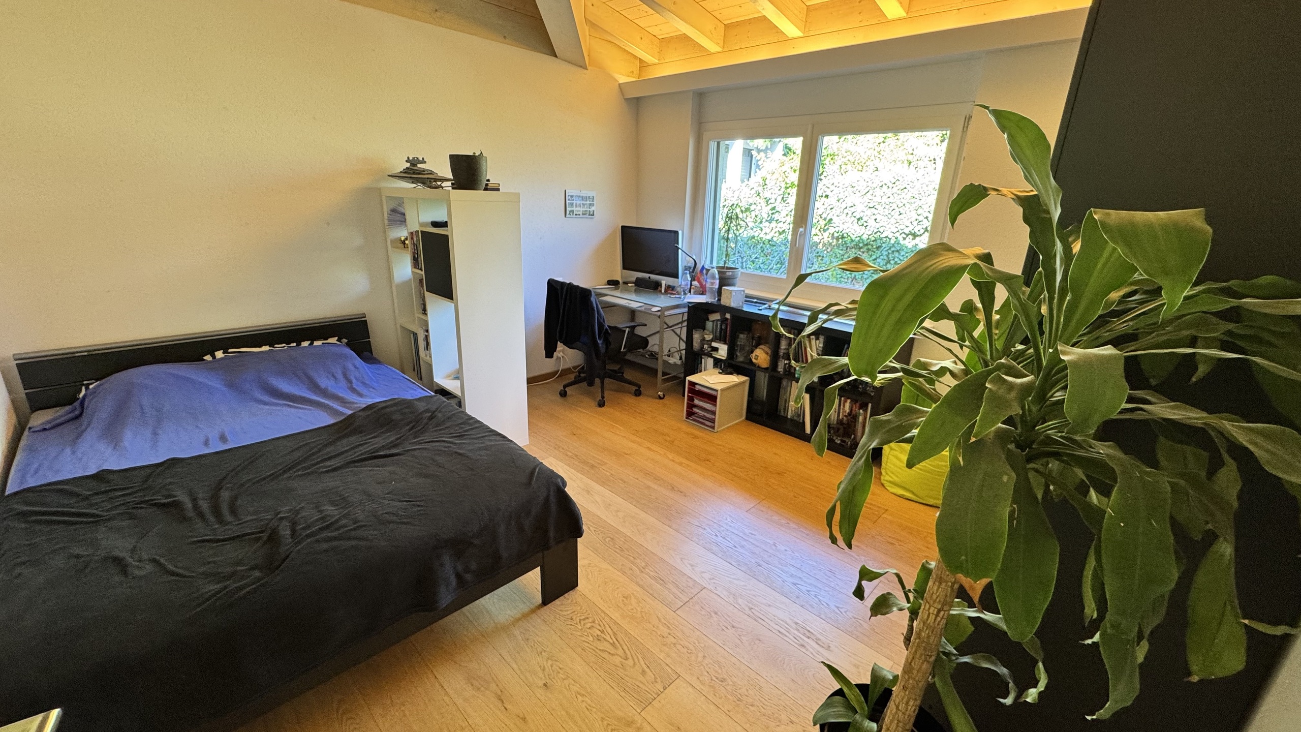 Interior view 6