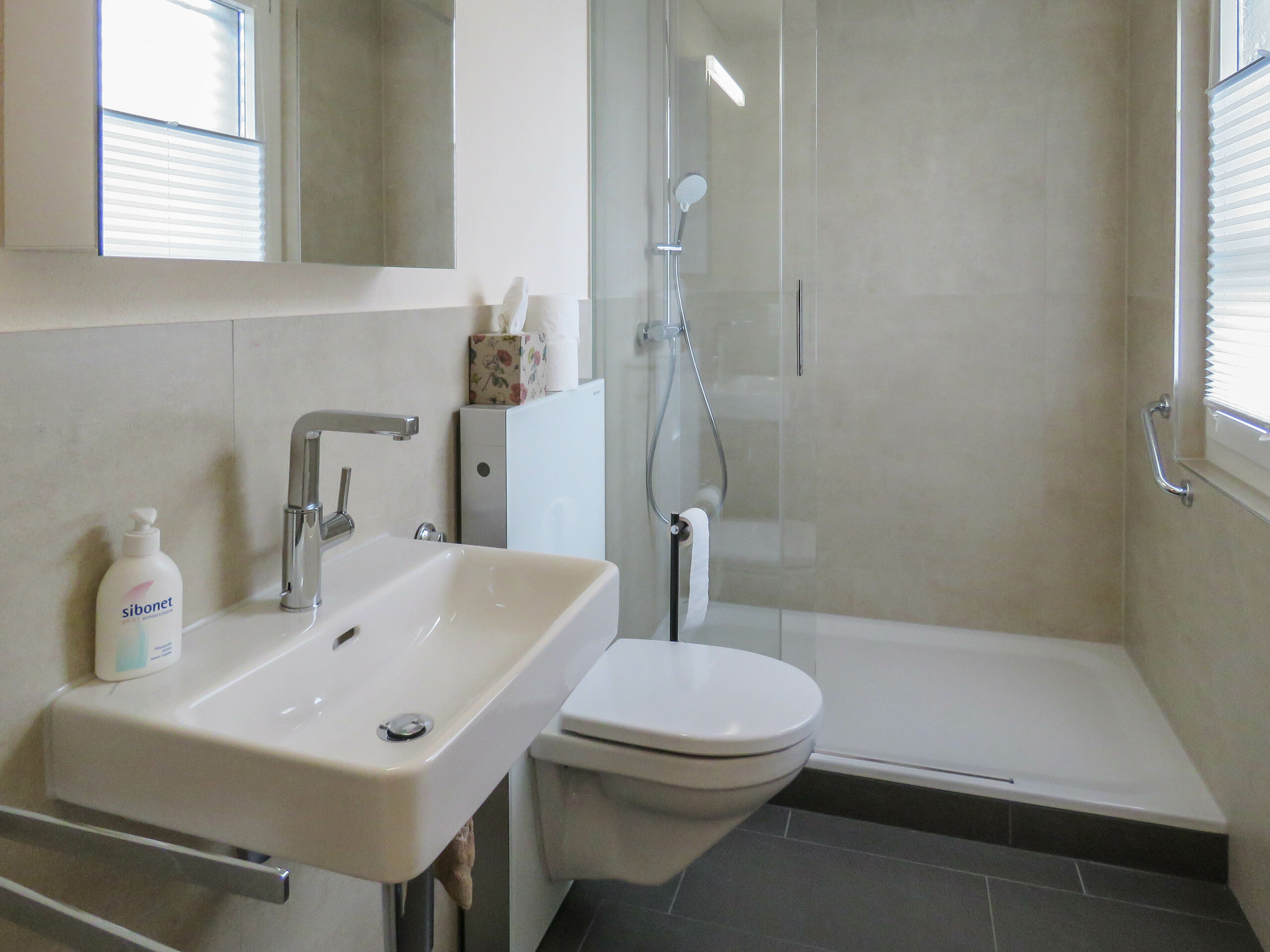 Gäste WC / Dusche Gäste WC / Dusche