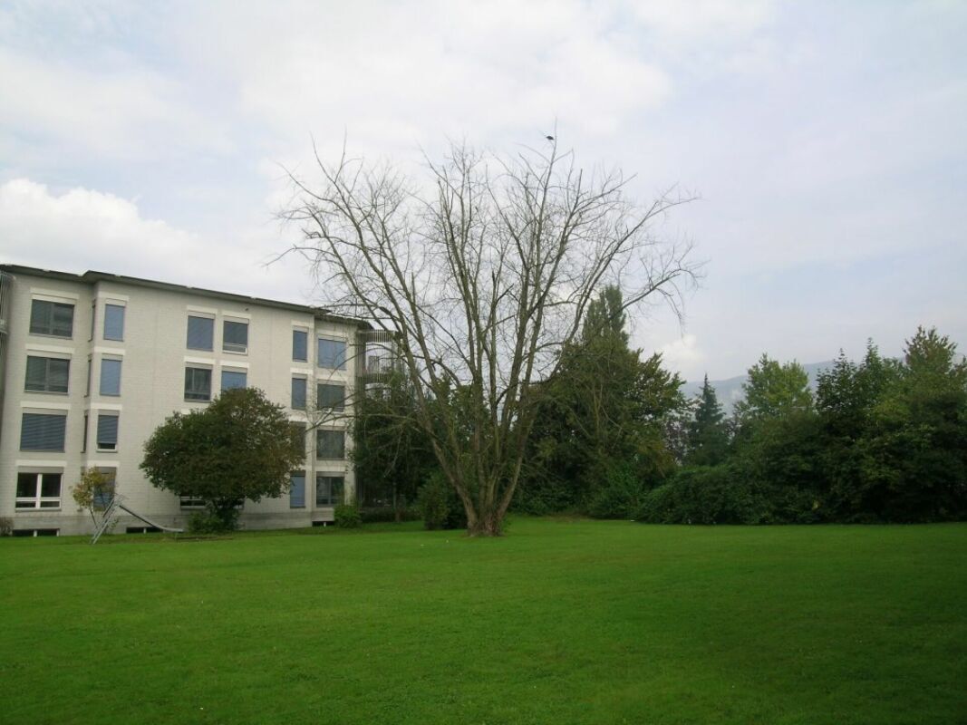 Picture 1