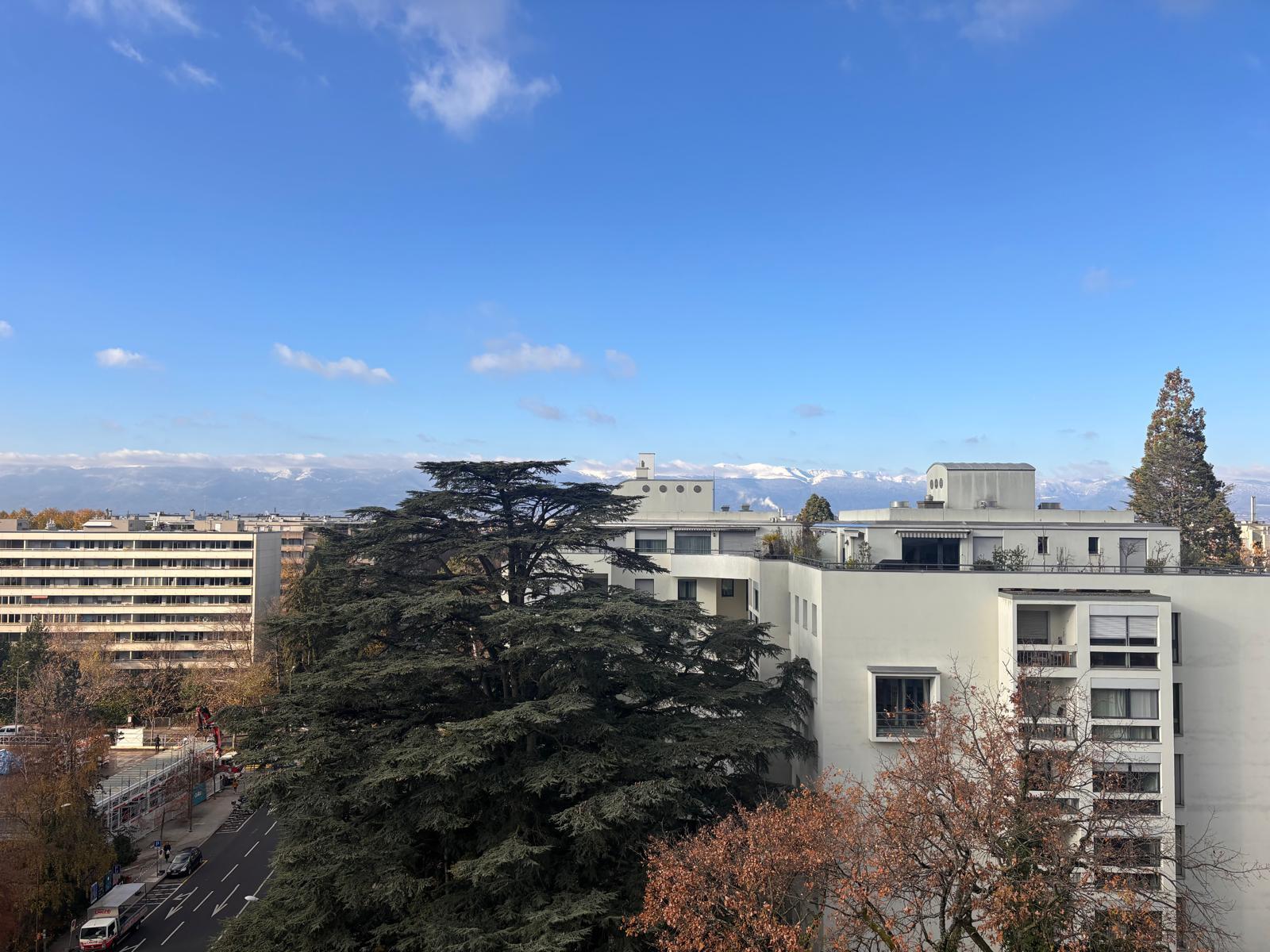 Premier coup d'oeil 1