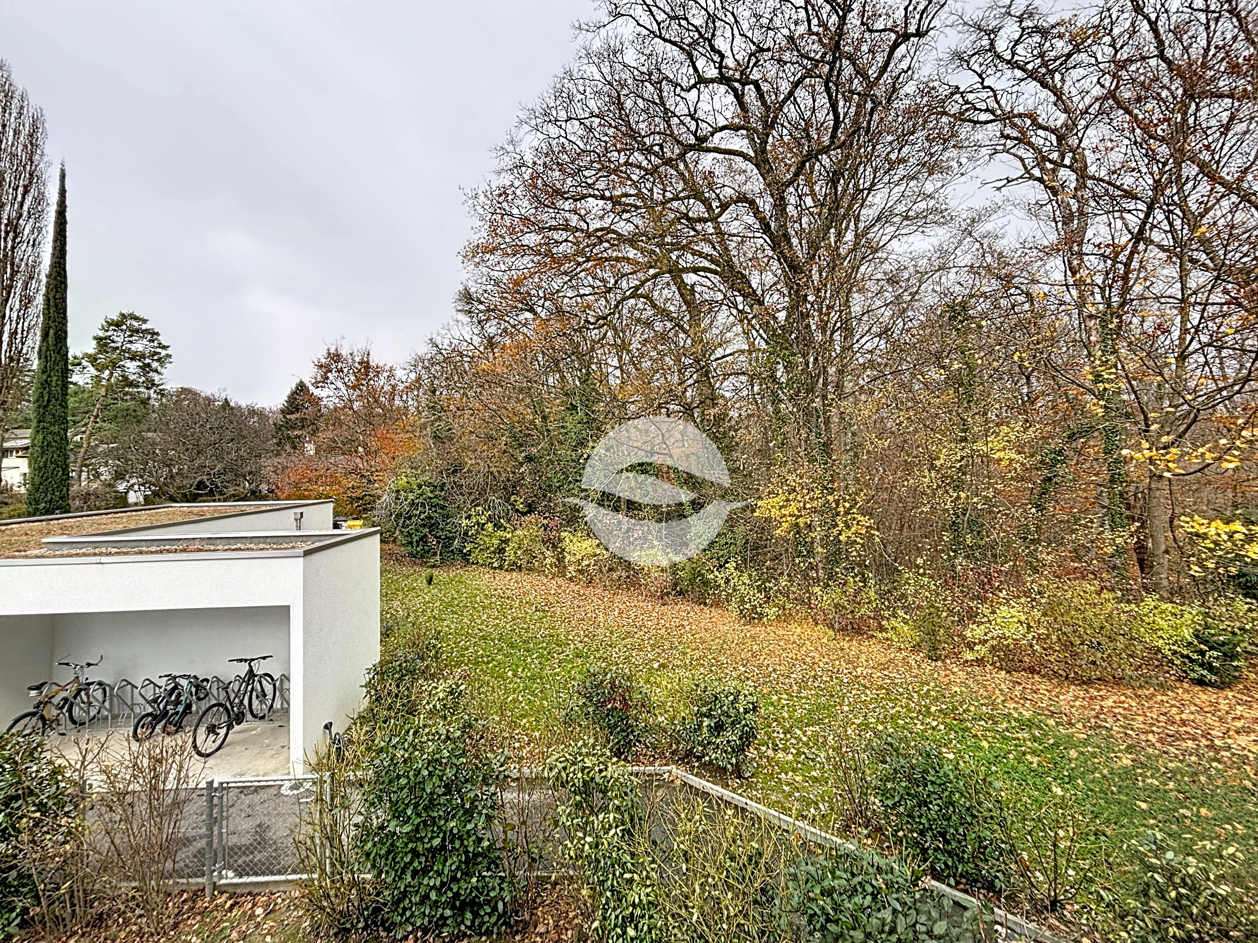 Vue depuis la master