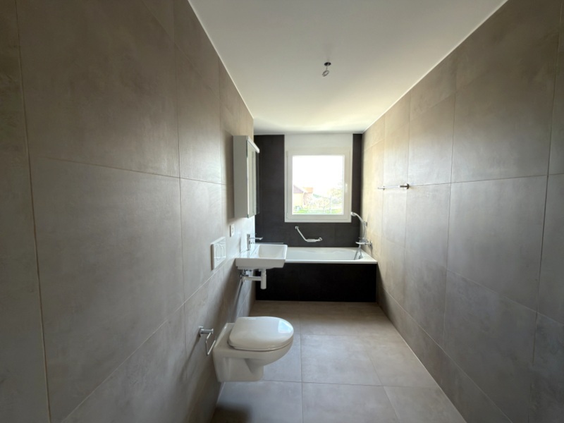 Interior view 8