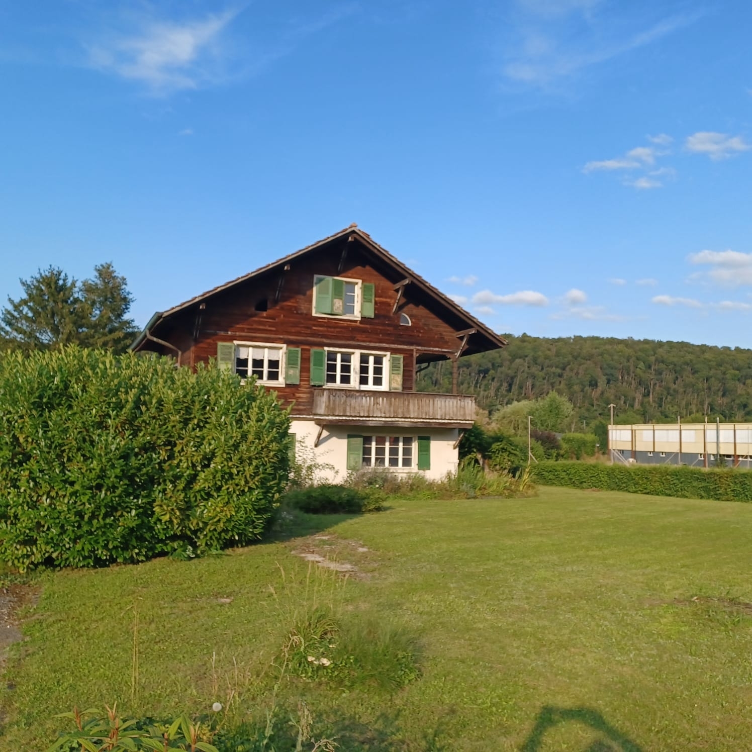 Foto 1