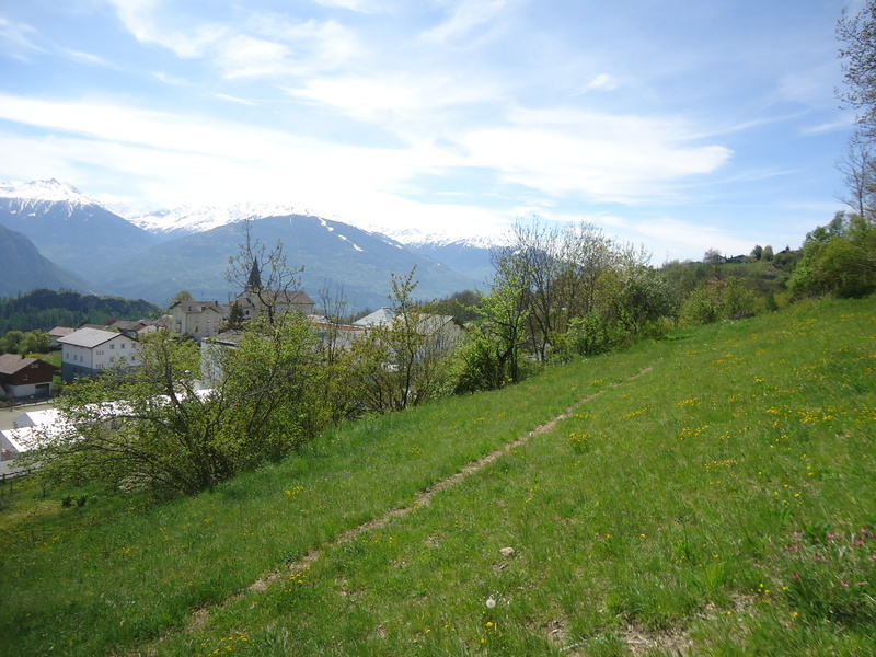 Foto 2