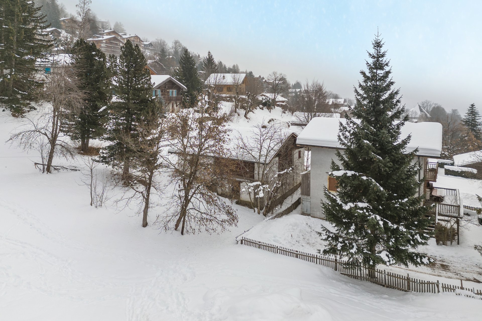 Bewaldetes und nicht eingezäuntes Grundstück Bewaldetes und nicht eingezäuntes Grundstück