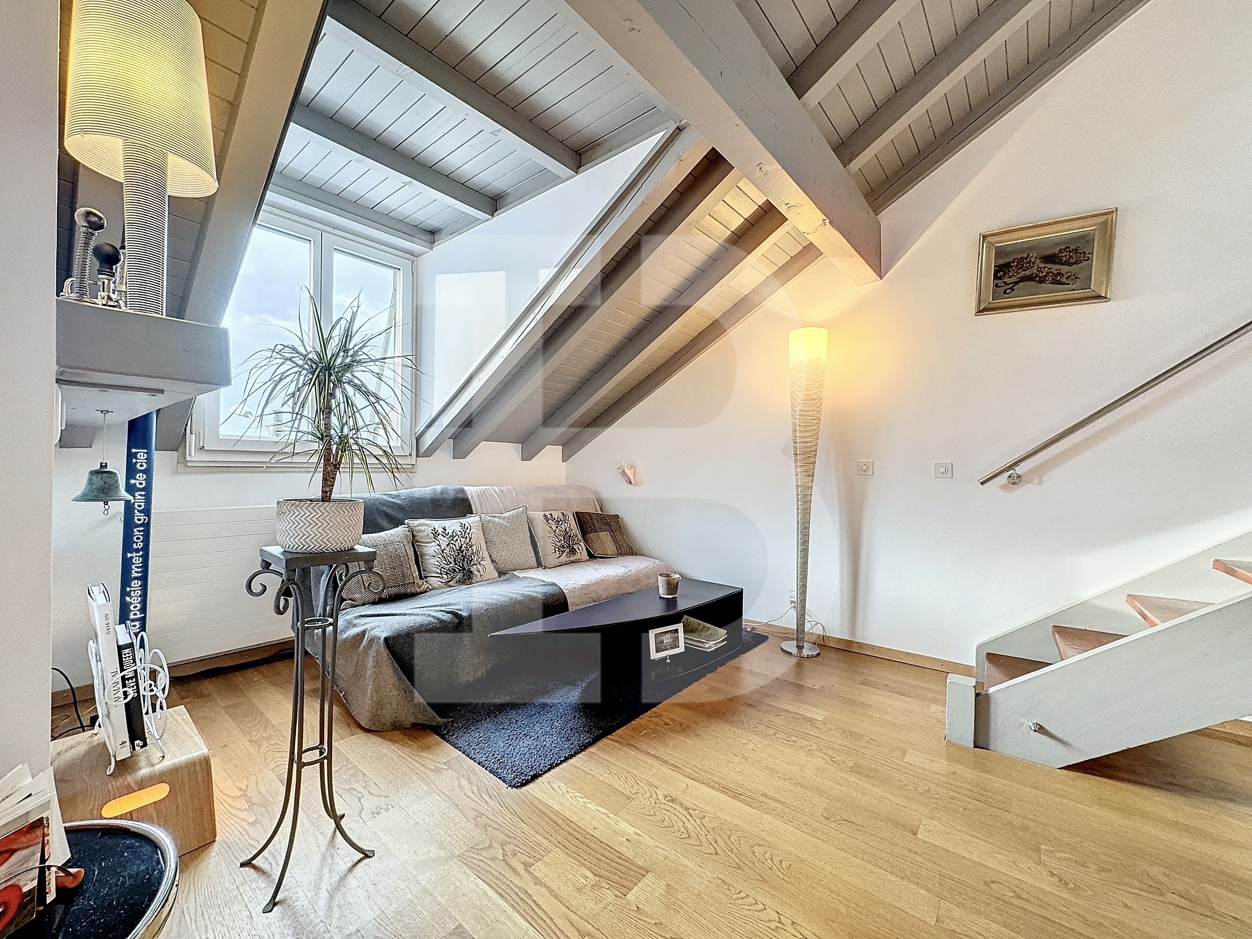 Premier salon - terrasse