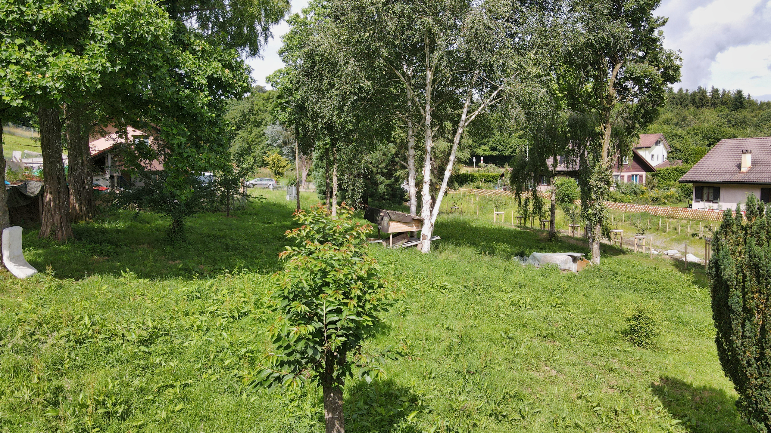 Foto 9