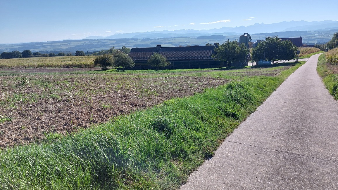 parcelle 37 parcelle 37