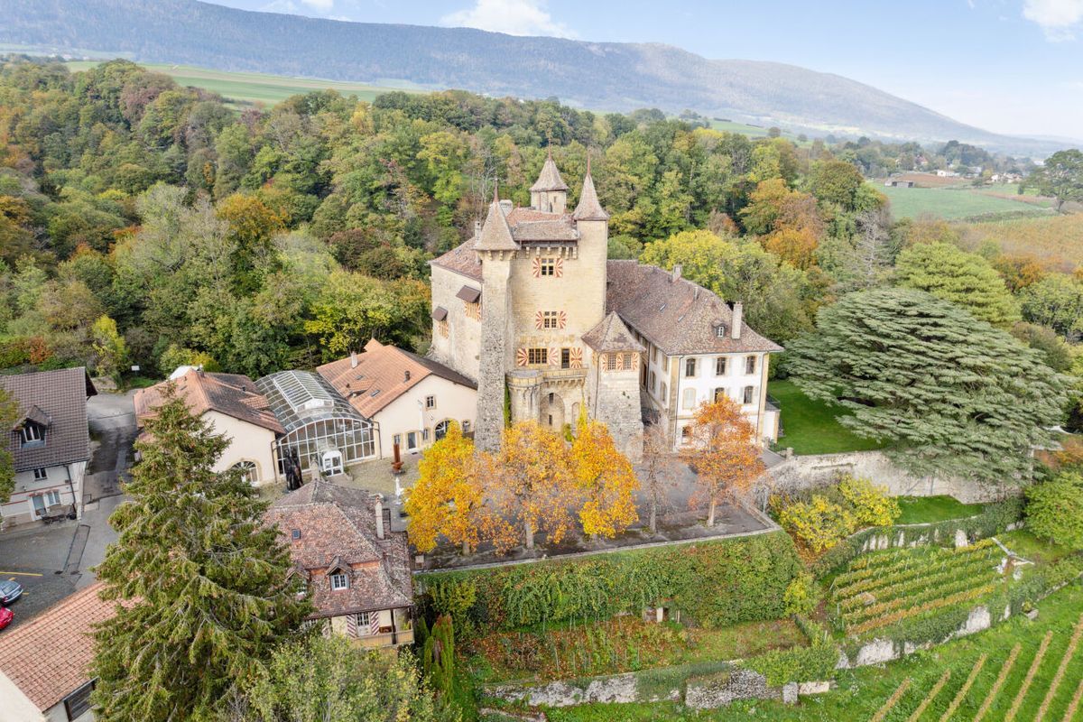 Immagine di copertina