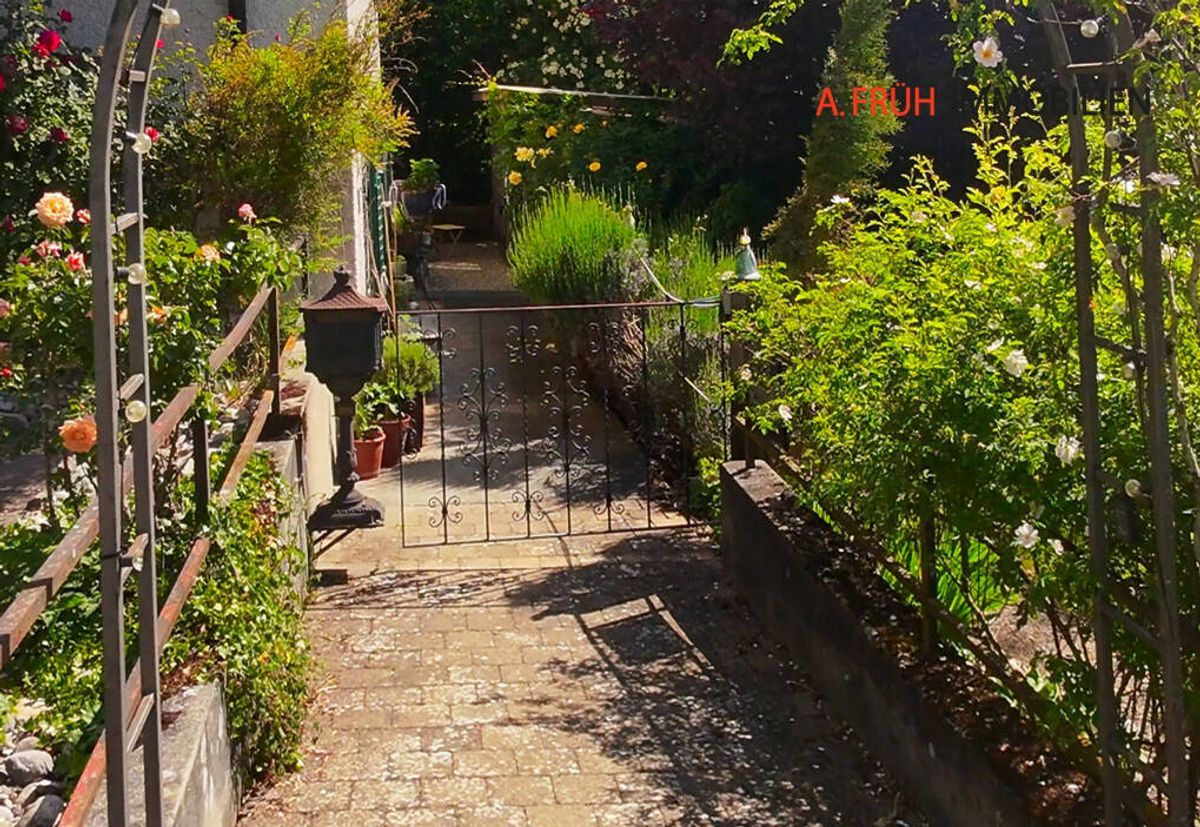 Photo 4