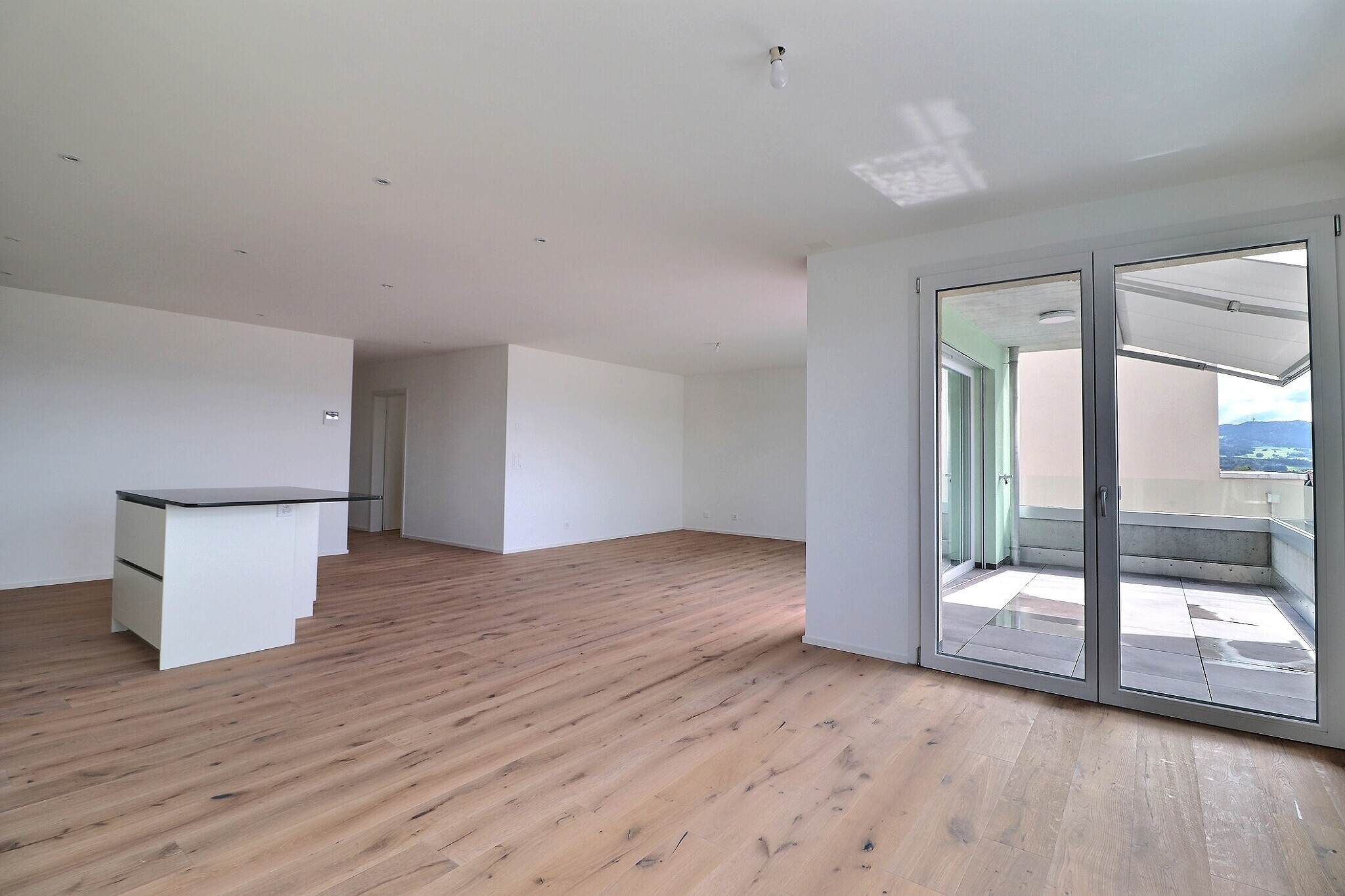 Grande pièce à vivre d'env. 50m2 avec accès sur le balcon