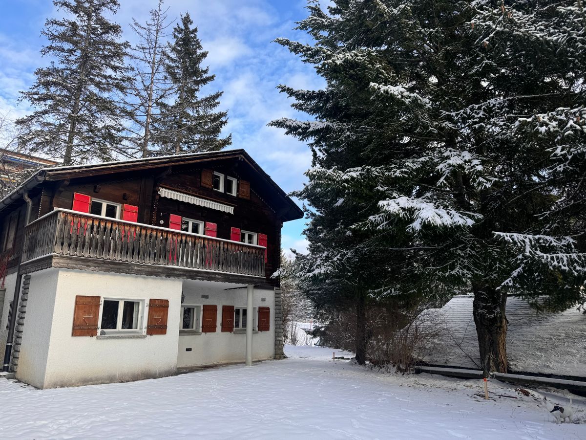 Foto 1