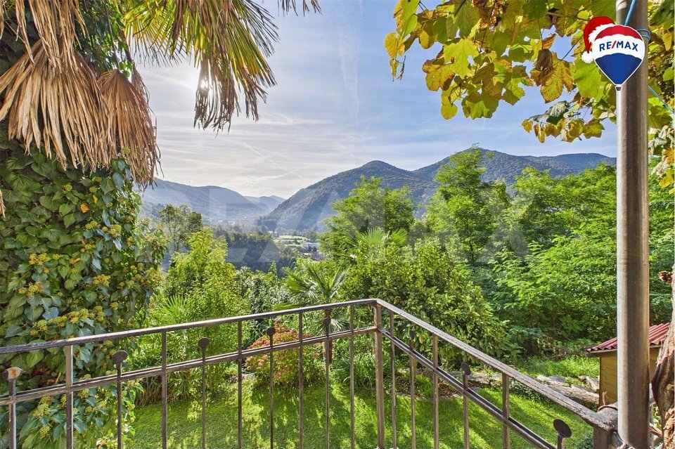 Immagine di copertina