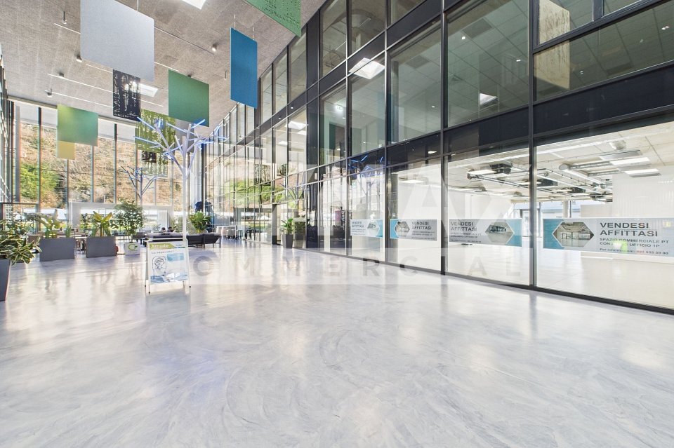 Immagine di copertina