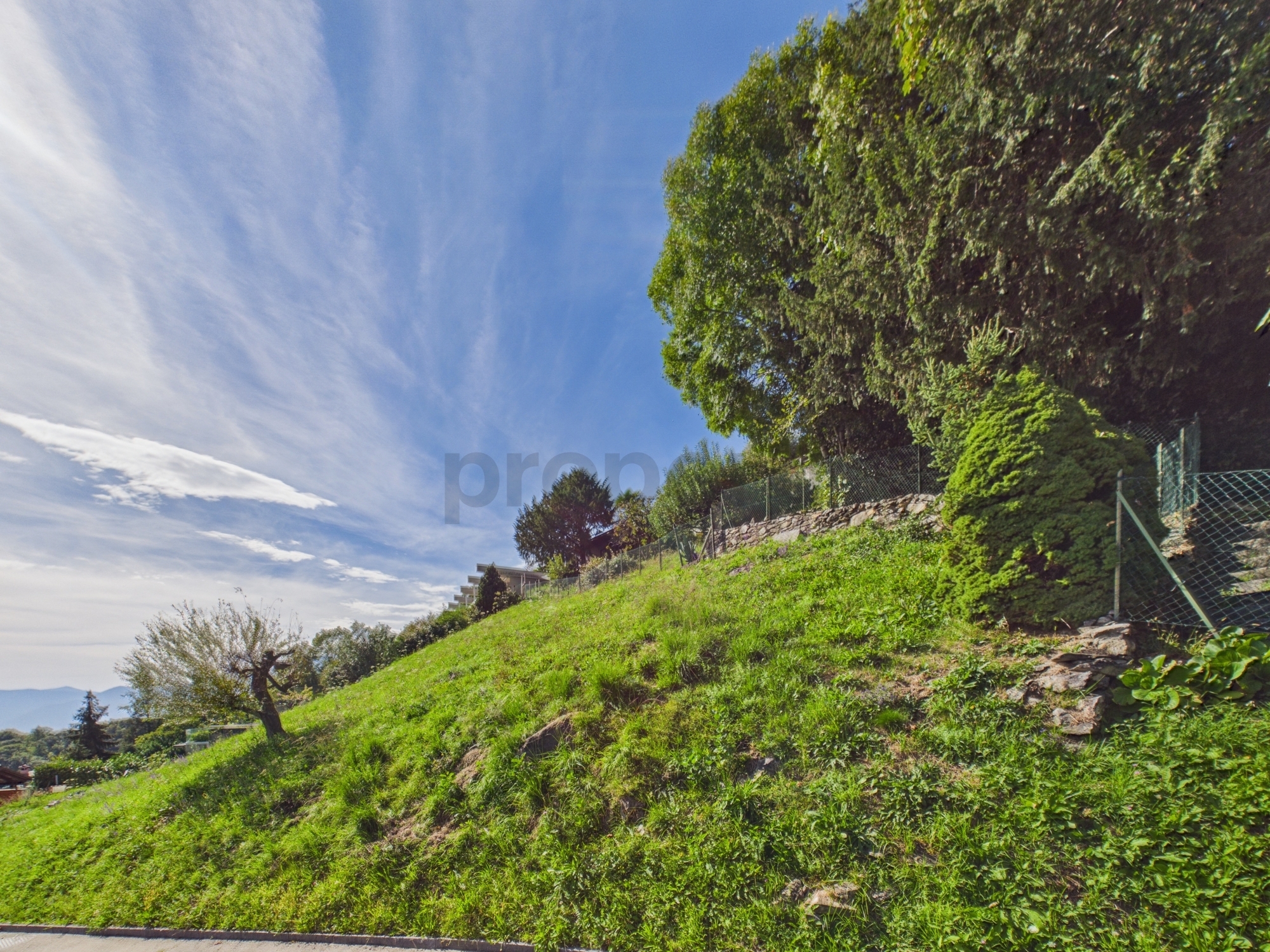 Image 4 Image 4