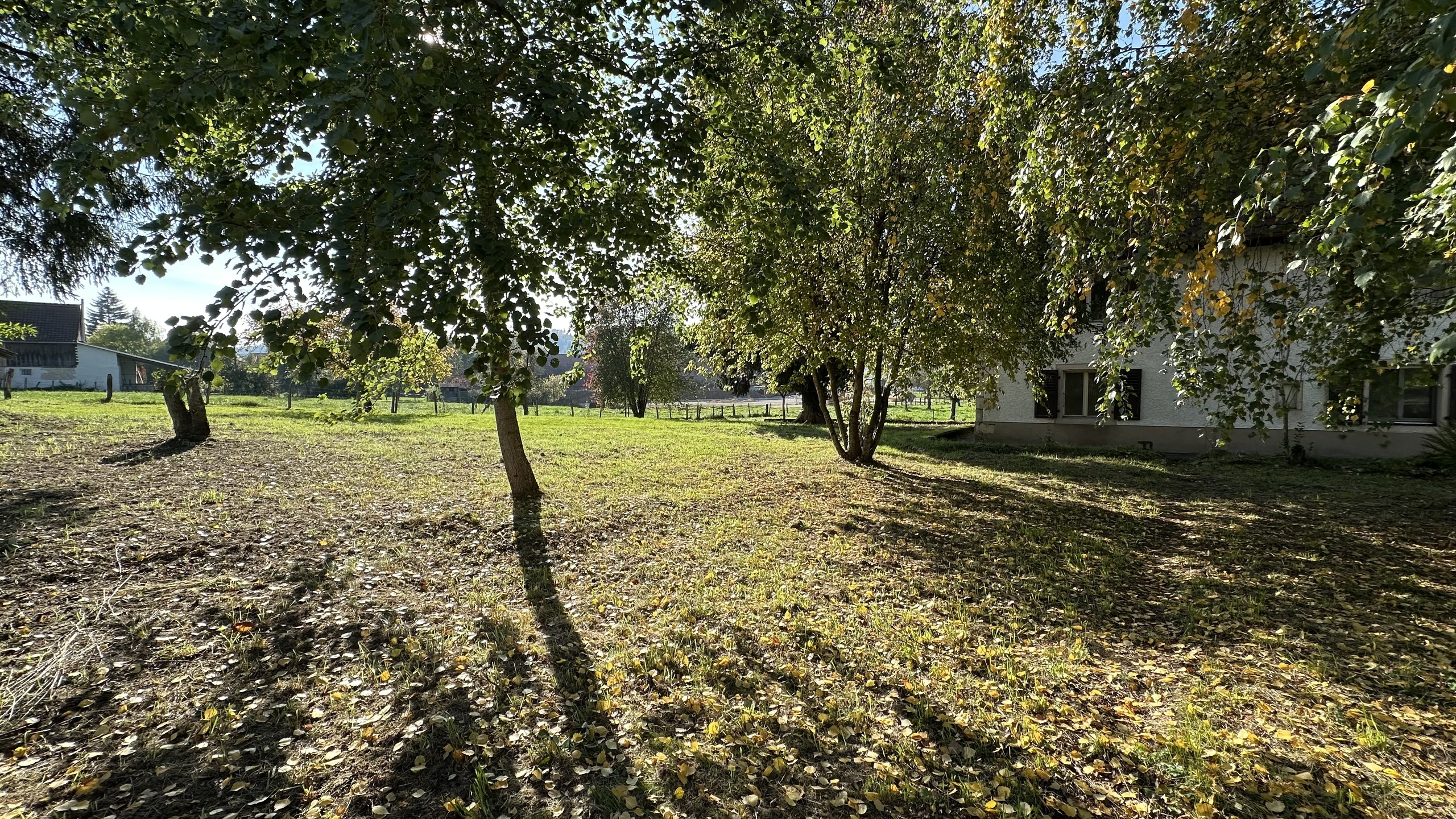 Vue extérieure 4