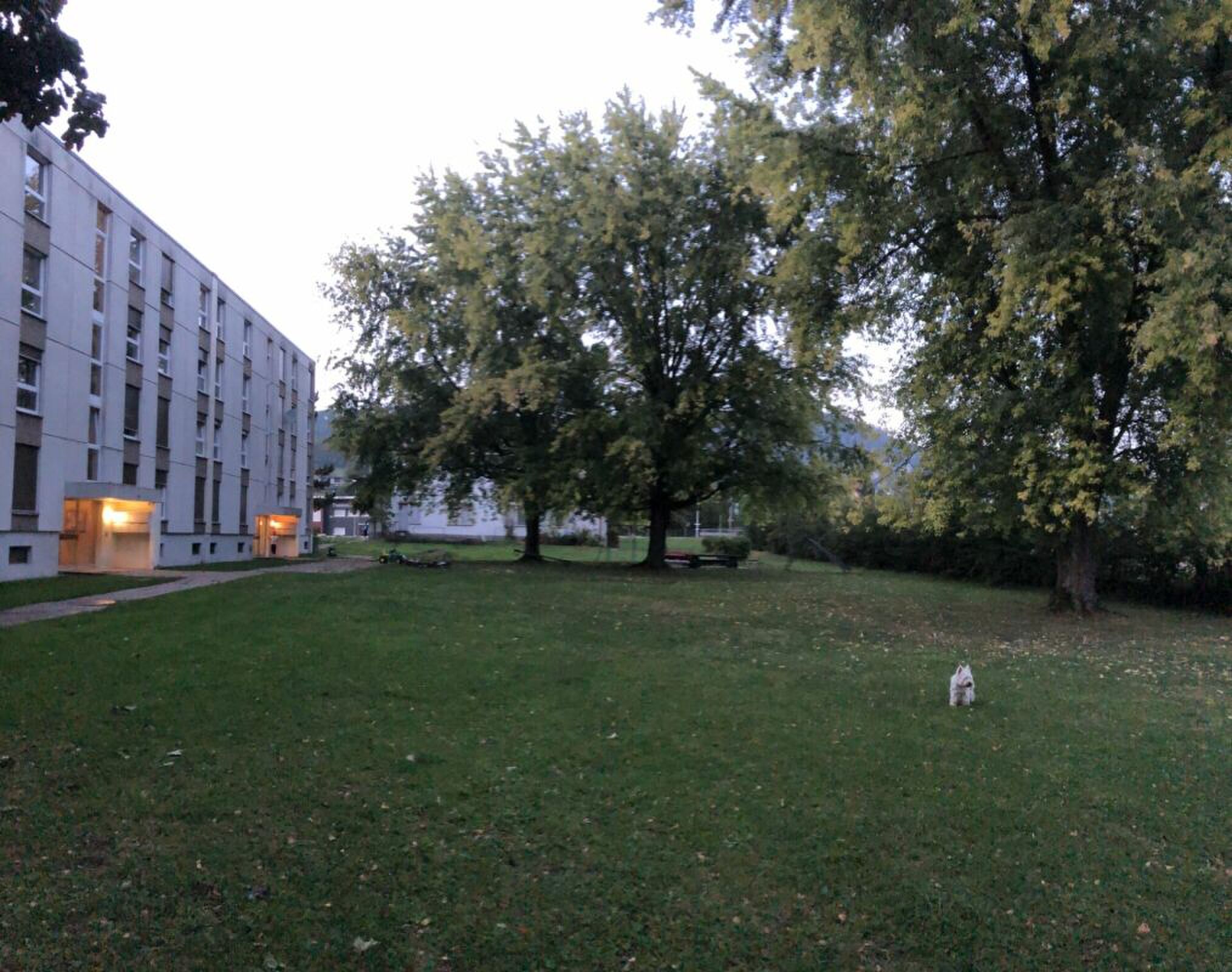 Foto 8