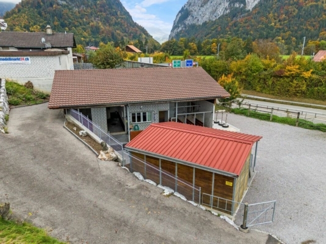 Photo 4