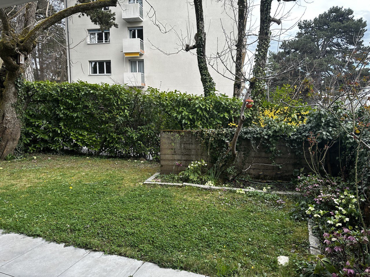 Photo 5