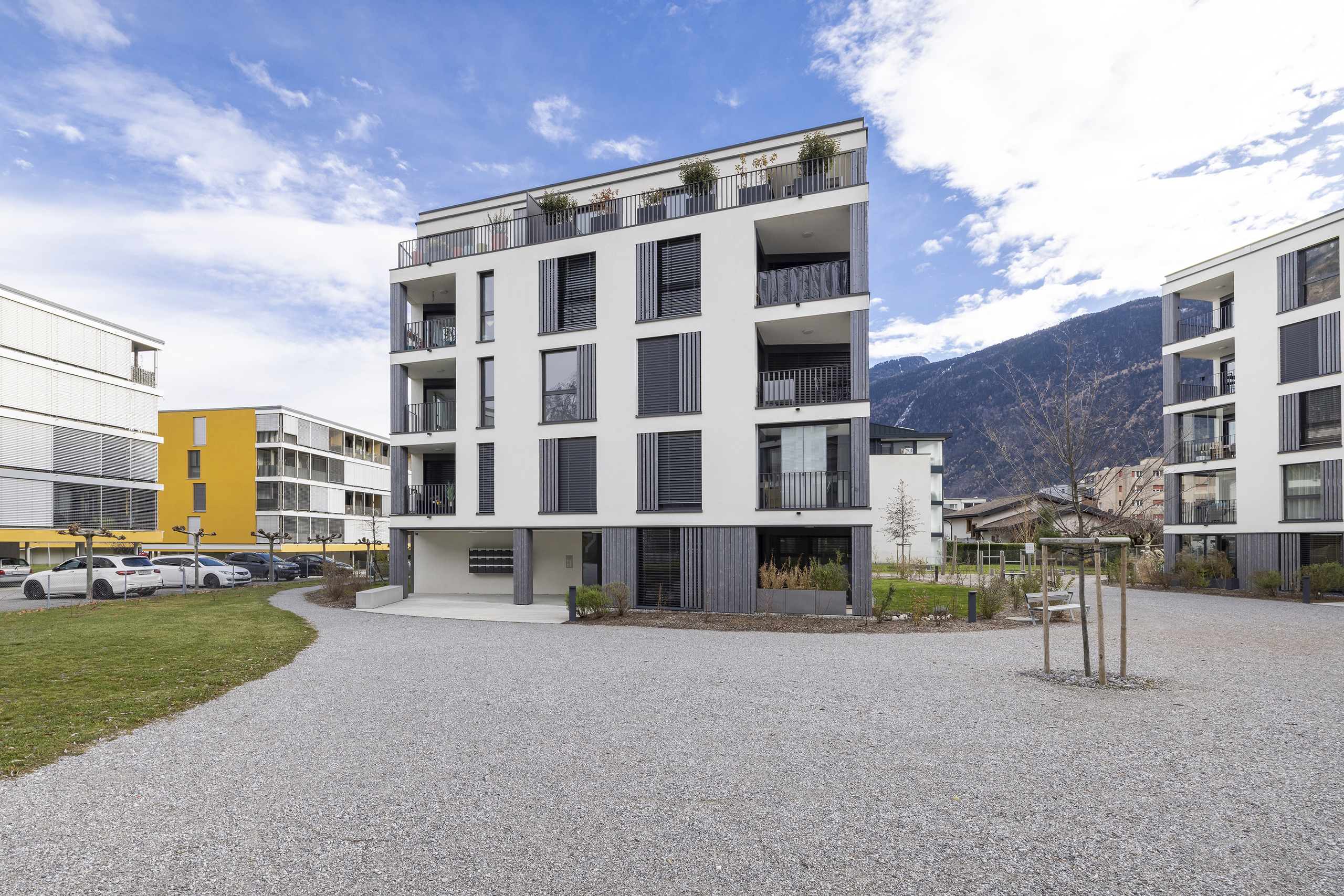 Immagine di copertina