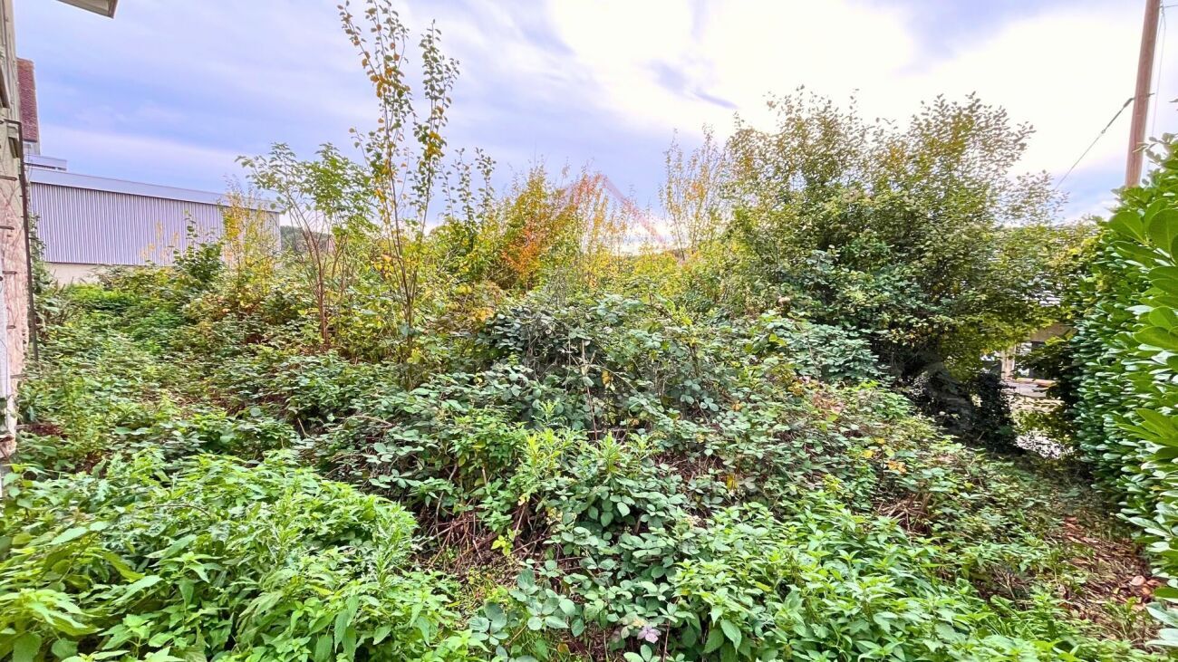 Grundstück / Umgebung ? Terrain / environnement