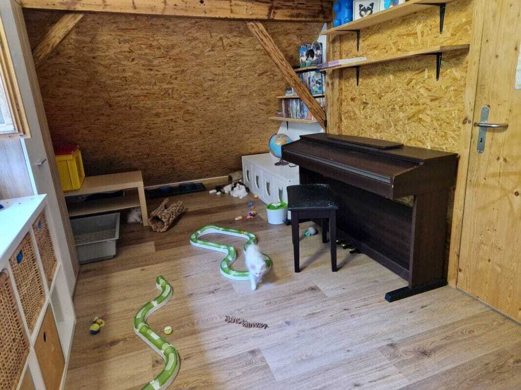 Foto 4