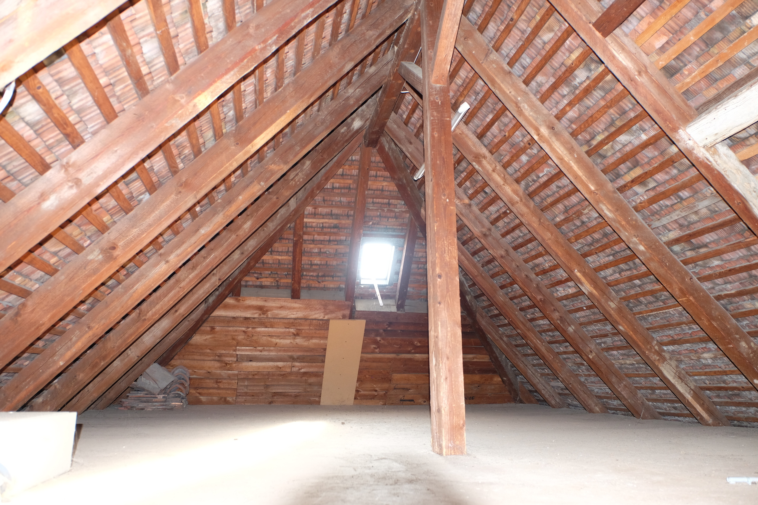 Photo 46